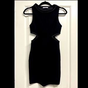 (NWOT) Zara Cut Out Dress